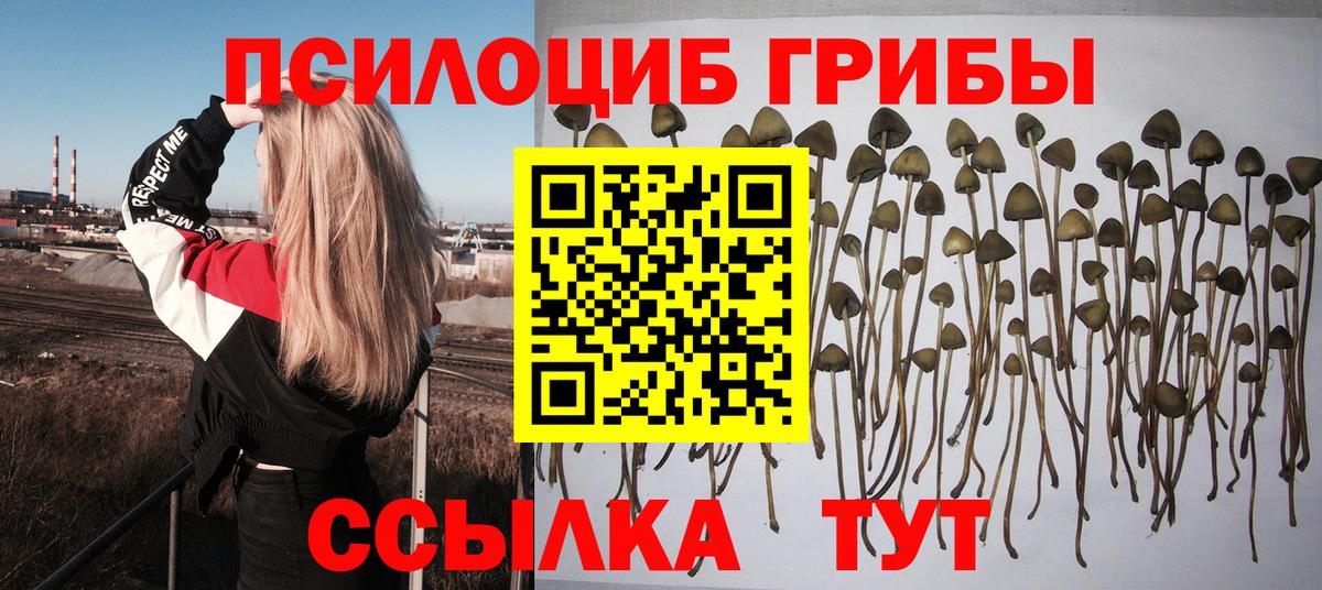 купить наркотики цена  Вход с VPN  Казань  Галлюциногенные грибы GOLDEN TEACHER 