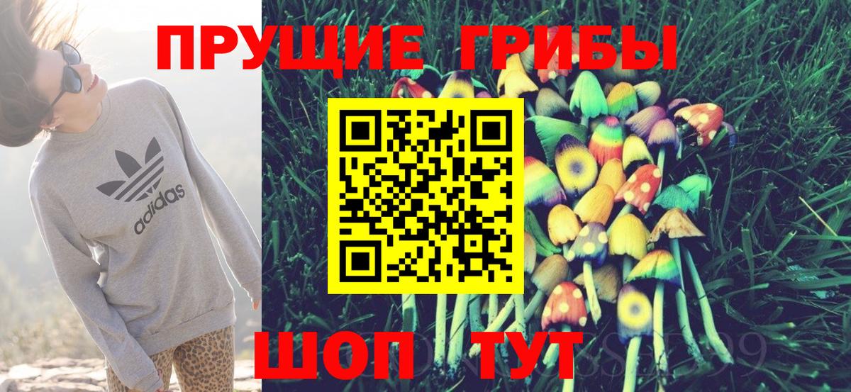 Галлюциногенные грибы Cubensis Казань